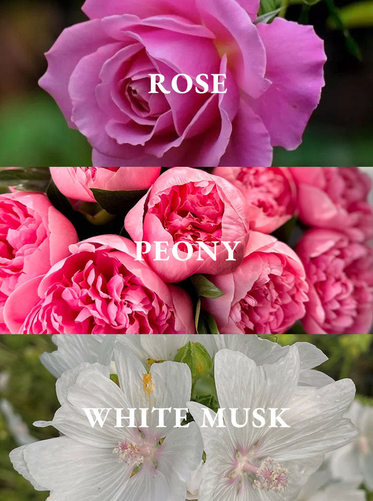 Dear Rose Eau De Parfum – 100ml